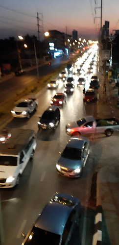 ตลาดร่มไทร ปากเกร็ด-ติวานนท์ - การบริการอาหารและที่พัก