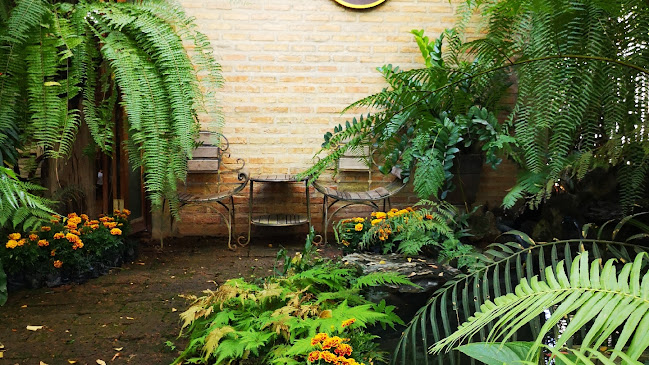 เฮือนคำ ก๋าแฟ ๒๕๕๙ - การบริการอาหารและที่พัก