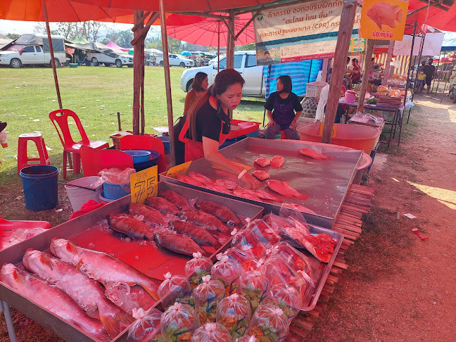 ช้างระยองปลาสด - การบริการอาหารและที่พัก