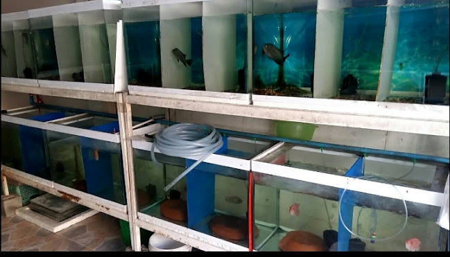 สวนหลวง ซอย 2 ตำบล สวนหลวง อำเภอกระทุ่มแบน สมุทรสาคร 74110