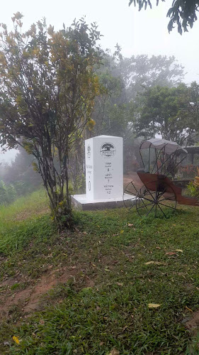 Mountain Jungle Restaurant