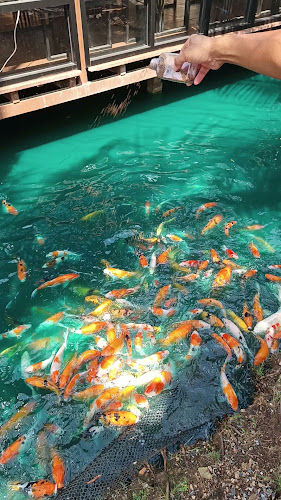 สวนอาหารกองเสบียงฟาร์ม Cafe & Restaurant - อ.เมือง