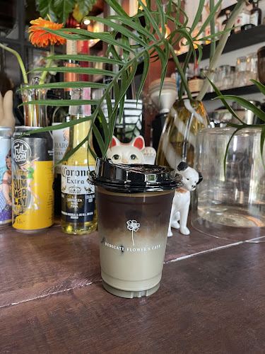 Dedicate Flower’s Cafe - อำเภอหาดใหญ่