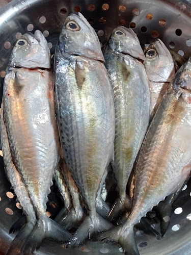 ร้านพี่รงค์พี่บอน ปลาสด ตลาดสดเทศบาล สุราษฎร์ธานี - อำเภอเมืองสุราษฎร์ธานี