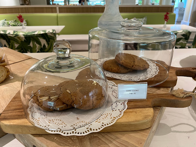 XV2P+64Q เมืองพัทยา อำเภอบางละมุง ชลบุรี 20150