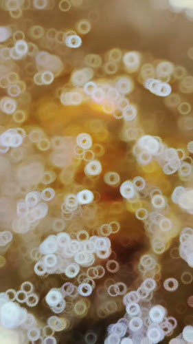 Opinii despre ทิพย์นรินทร์ หาดใหญ่ (Tipnarin) în อำเภอหาดใหญ่ - การบริการอาหารและที่พัก