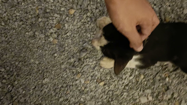 Opinii despre แซ่บฟิน นครปฐม în เมือง - การบริการอาหารและที่พัก