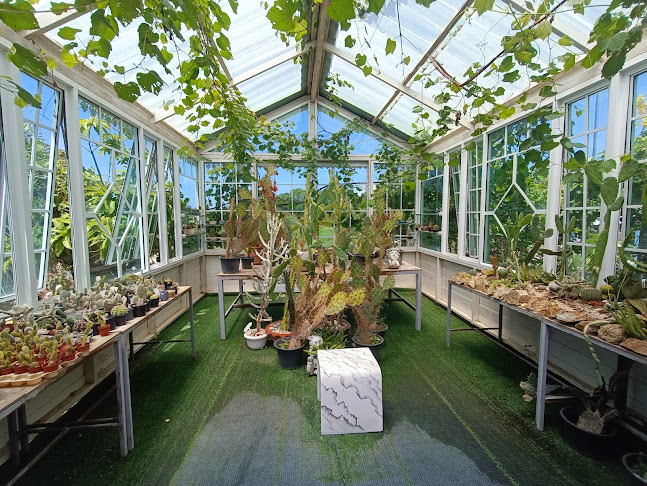 Ma Cheminee tree & coffee house - การบริการอาหารและที่พัก