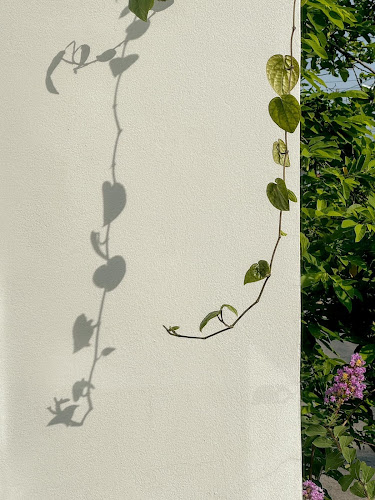 Comentarii opinii despre scene café