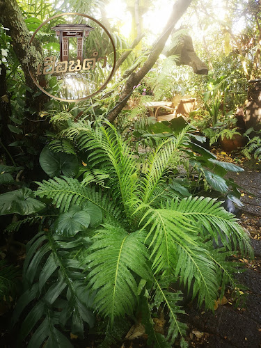 Comentarii opinii despre เฮือนคำ ก๋าแฟ ๒๕๕๙