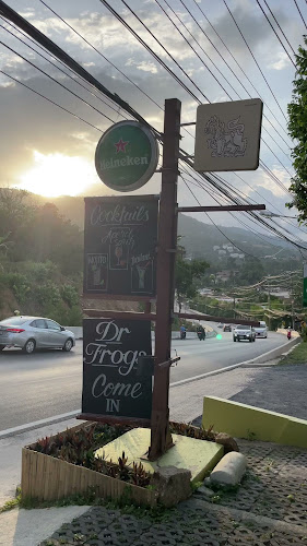 Comentarii opinii despre Dr Frogs Bar & Grill