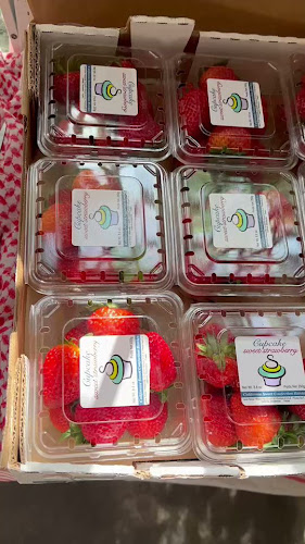 ถนน นิพัทธ์สงเคราะห์ 2 ตำบล หาดใหญ่ อำเภอหาดใหญ่ สงขลา 90110