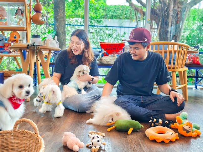 ถนนเลี่ยงเมืองปากเกร็ด ตำบลบางตลาด อำเภอปากเกร็ด นนทบุรี 11120