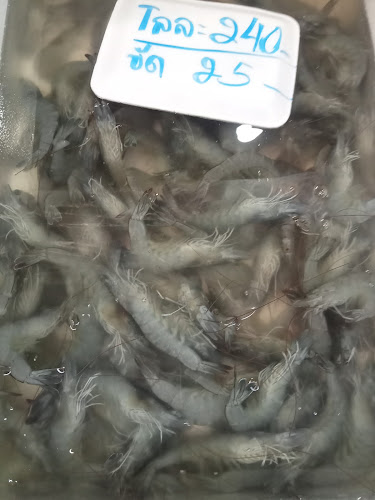 3 ซอย อ่าวอุดม 3 ตำบลทุ่งสุขลา อำเภอศรีราชา ชลบุรี 20230