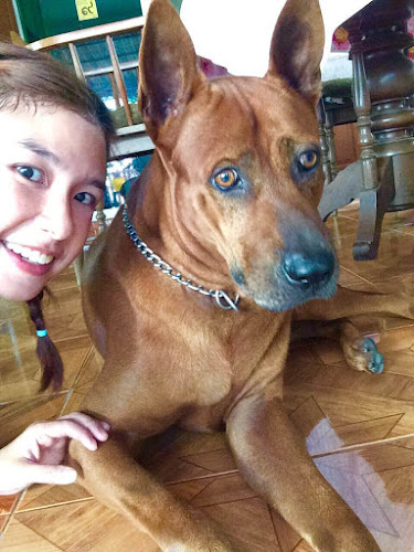 Opinii despre The Juicy Shop în อำเภอเมืองนครปฐม - การบริการอาหารและที่พัก