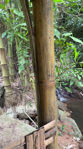 39 ปฏัก ซอย 14 ตำบล กะรน อำเภอเมืองภูเก็ต ภูเก็ต 83100