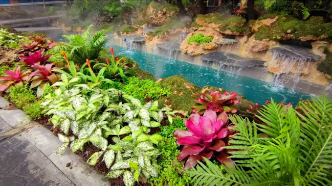 คาเฟ่ อเมซอน ปตท.บ้านกล้วย ไทรน้อย - การบริการอาหารและที่พัก