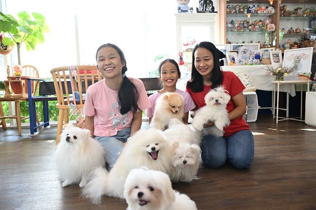 Lang Baan (หลังบ้าน) Dog Cafe & Pet Friendly - การบริการอาหารและที่พัก