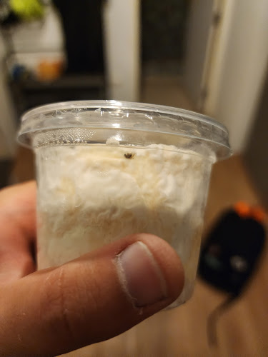 L'Épicerie du Siam - อำเภอเมืองภูเก็ต