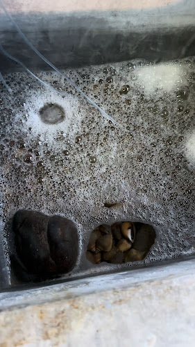 Opinii despre ในสวนอินดี้ Seafood în Mueang - การบริการอาหารและที่พัก