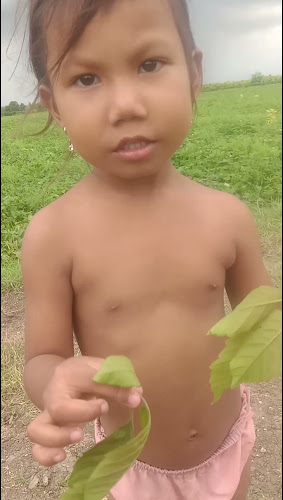 ร้านอัมสเตอร์ดัม เลาจน์ บาร์ - อำเภอบางละมุง