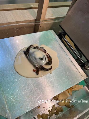 Opinii despre ร้านสุโก้ยเซมเบ้ Sugoi senbei เซ็นทรัลหาดใหญ่ ชั้น5 în อำเภอหาดใหญ่ - การบริการอาหารและที่พัก