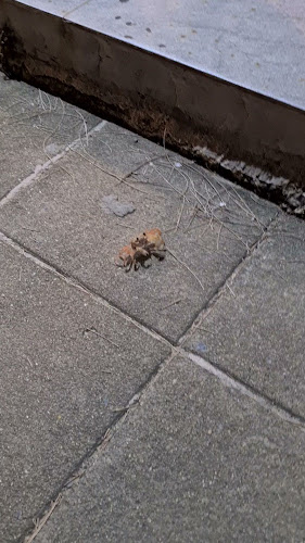 76 Karon Rd, ตำบล กะรน อำเภอเมืองภูเก็ต ภูเก็ต 83100