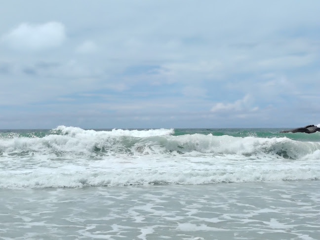 Buon Appetito - การบริการอาหารและที่พัก