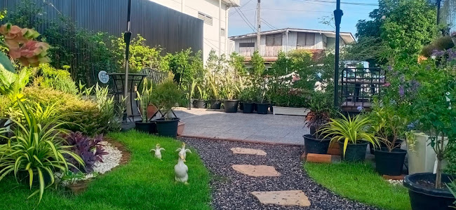 Jakk Coffee - เมือง