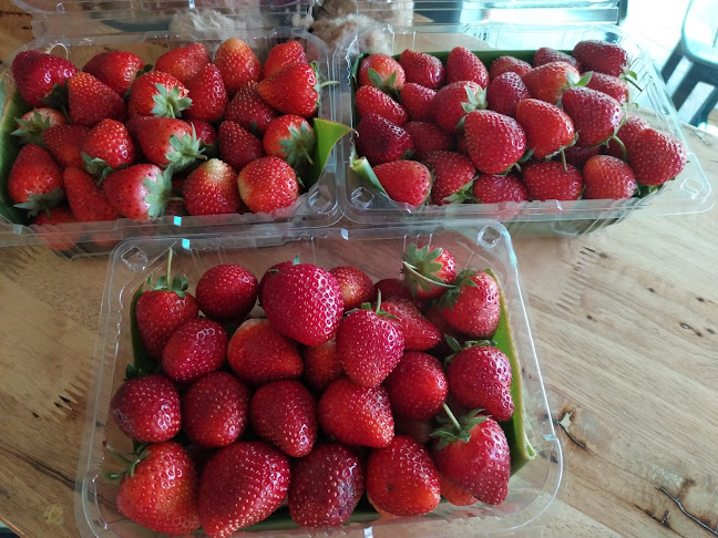 ละมุนเค้ก Homemade Bakery - การบริการอาหารและที่พัก