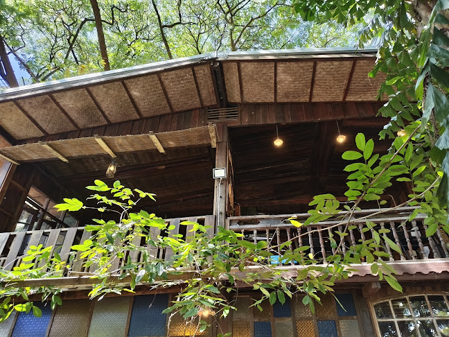 Pa Klang Mueang Café | ป่ากลางเมือง Café & Co-Working space - อำเภอเมืองขอนแก่น