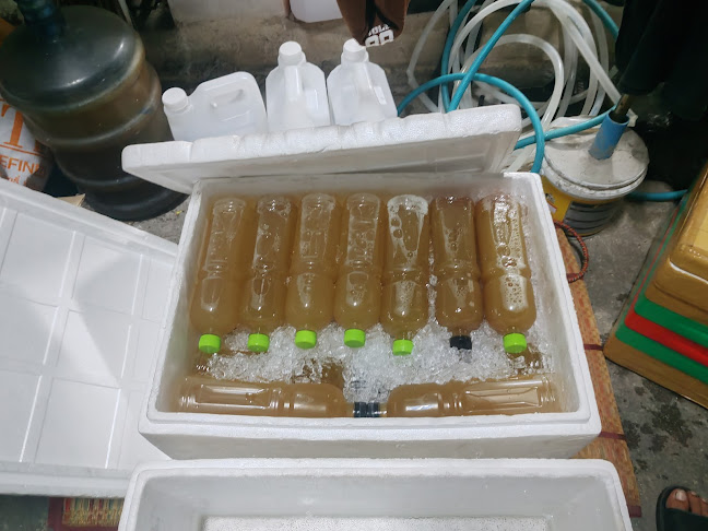 น้ำกระท่อม RangSit สมุนไพร (สาขา1)​ - การบริการอาหารและที่พัก