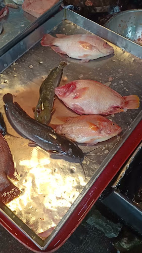 XFWC+FXC ถนน จันทร์นิเวศน์ 3 ตำบล หาดใหญ่ อำเภอหาดใหญ่ สงขลา 90110