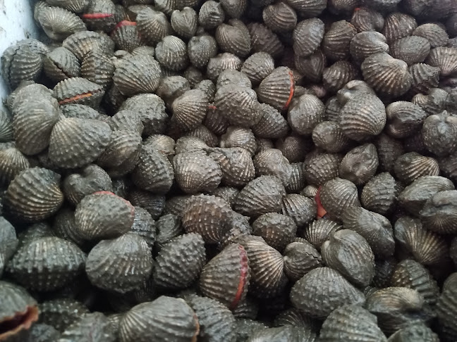 Comentarii opinii despre สินทรัพย์อาหารทะเล สาขาตลาดสถานีรถไฟ พิษณุโลก