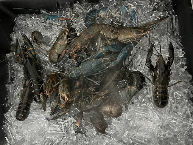 Beer Bank Rawai - Phuket