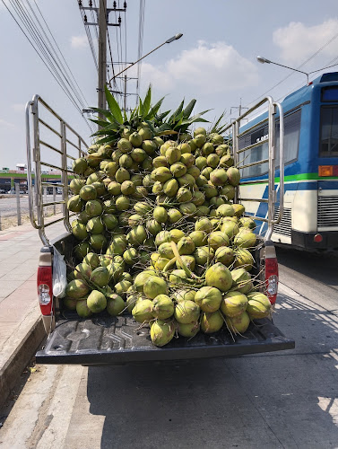 ร้านจ๊ะเอ๋ร่มแดง มะพร้าวน้ำหอมบ้านแพ้ว - อำเภอบางบัวทอง