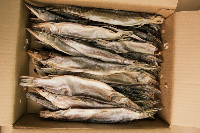 Opinii despre Beer Bank Rawai în Phuket - การบริการอาหารและที่พัก