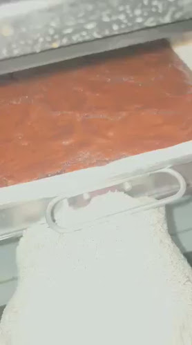 Comentarii opinii despre Casanova.2021