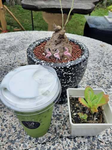 SNIM MOKA Coffee - เมือง