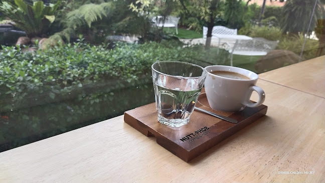 Comentarii opinii despre Nutt - Phob coffee and more