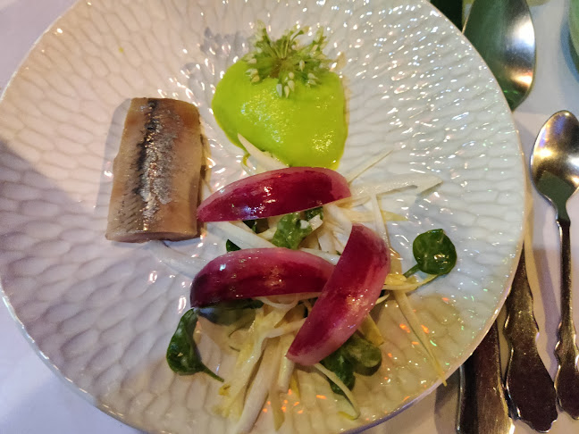 Comentarii opinii despre Alter Ego