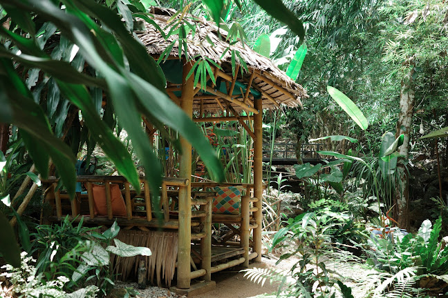 บ้านสวนลุงรงค์ Suan Lung Rong. Cafe'and restaurant - อำเภอเมืองภูเก็ต