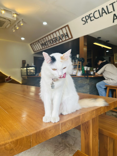 Opinii despre Photograph Coffee House în อำเภอเมืองสงขลา - การบริการอาหารและที่พัก