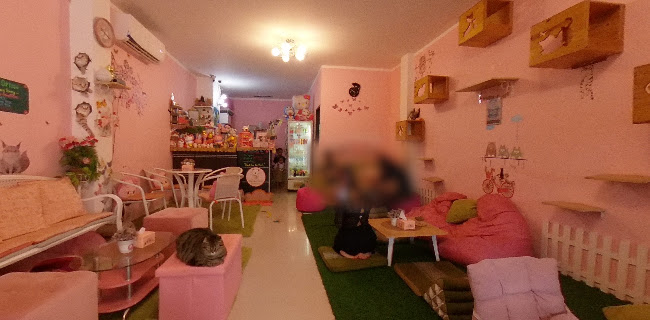 Opinii despre Neko Cat Cafe în Phuket - การบริการอาหารและที่พัก