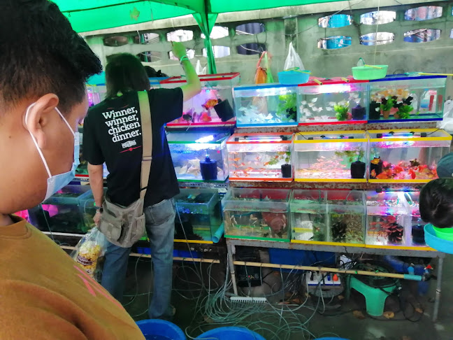 ตลาดประชารัฐ ค่ายจิรประวัติ - การบริการอาหารและที่พัก