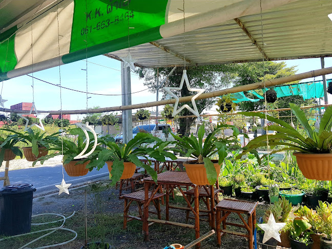 ร้านอาหารลุยทุ่ง (LuyThung Restaurant) - อำเภอบางพลี