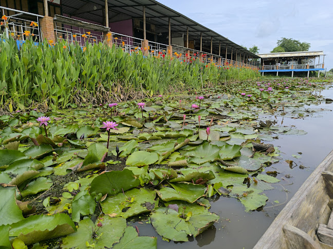 2574+9RH ตำบลบางเลน อำเภอบางเลน นครปฐม 73130