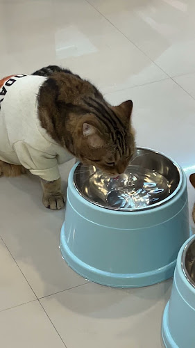 ต, 28/77.ซ.ยิงเป้า ถ. จันทรคามพิทักษ์ อำเภอเมืองนครปฐม นครปฐม 73000