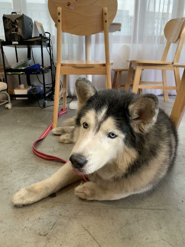 ma lune (มาลูน) Specialty Coffee Roaster