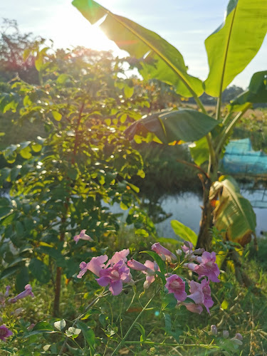 ล้านนานาเค้ก สาขาสนม